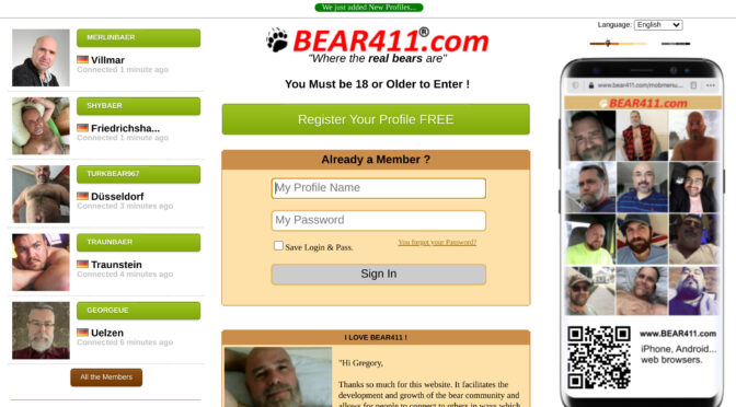 Is Bear411 the Right Place To Search For Your Perfect Match?